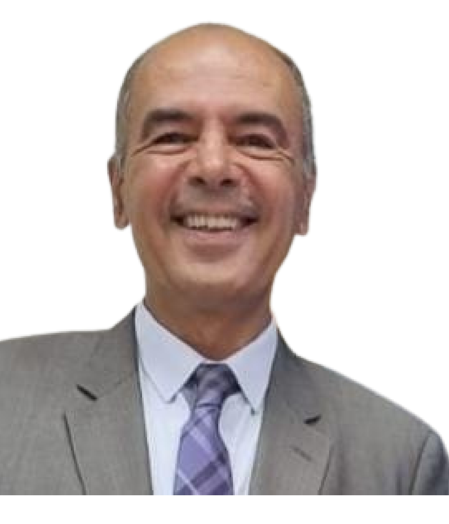 Prof. Louay ElSharkawy